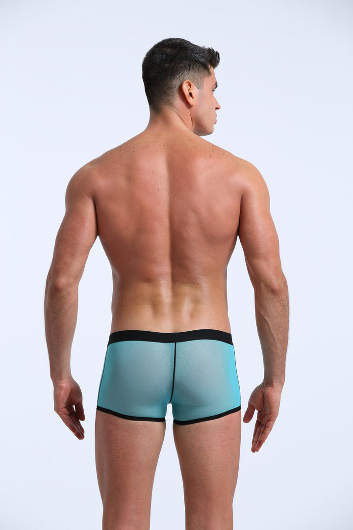 Karenspace Sexy Herren Low-Rise Trunk Nylon Transparent Atmungsaktiv