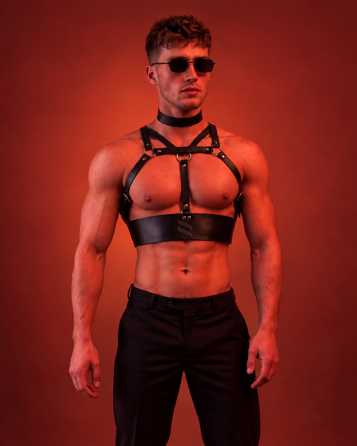 Harness in schwarzer Lederoptik – mit Brustgurten