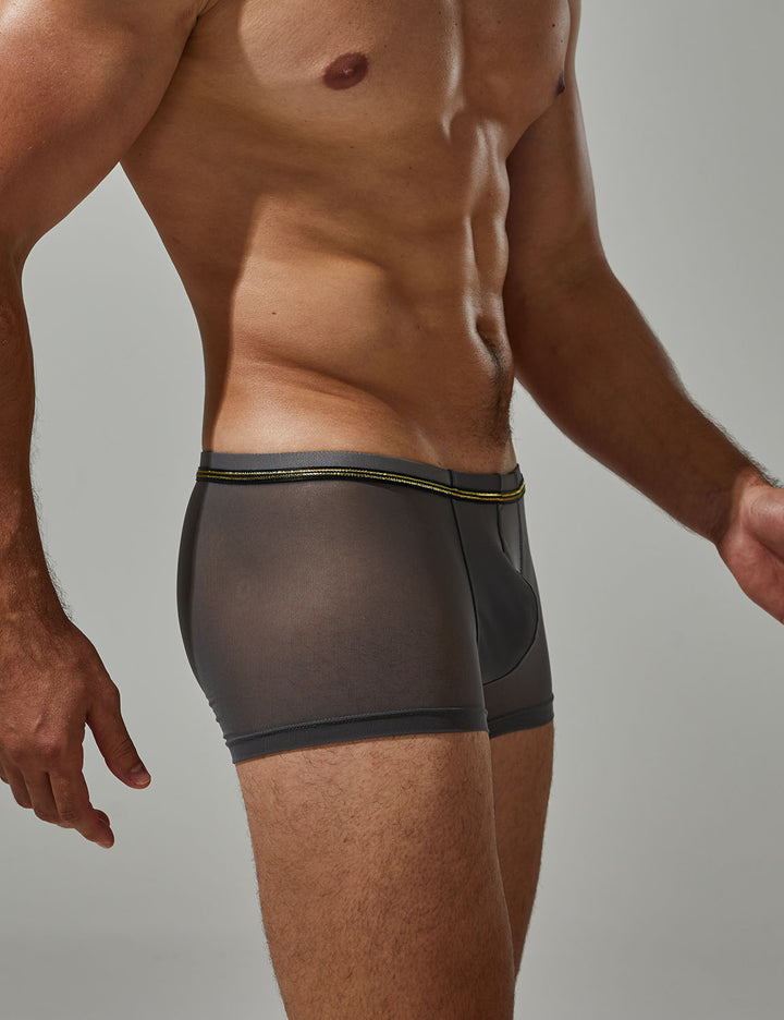 Low-Rise Ultra Dünn Trunk Boxer Brief Stretchy Nylon Mesh