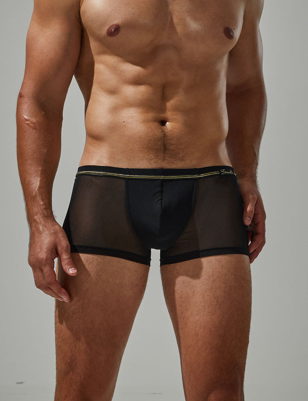 Low-Rise Ultra Dünn Trunk Boxer Brief Stretchy Nylon Mesh - Low-Rise Ultra Dünn Trunk Boxer Brief Stretchy Nylon Mesh - Schwarz / M (Europe Size S) - BIMONI