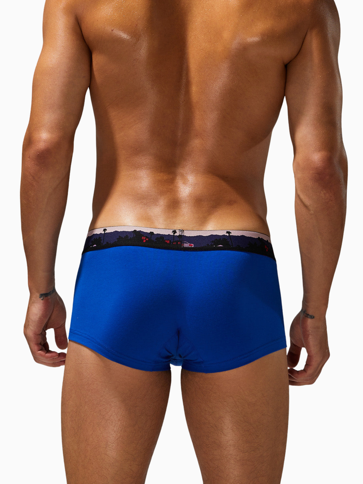 Trunk-Boxershorts aus Baumwolle mit Landscape-Bund