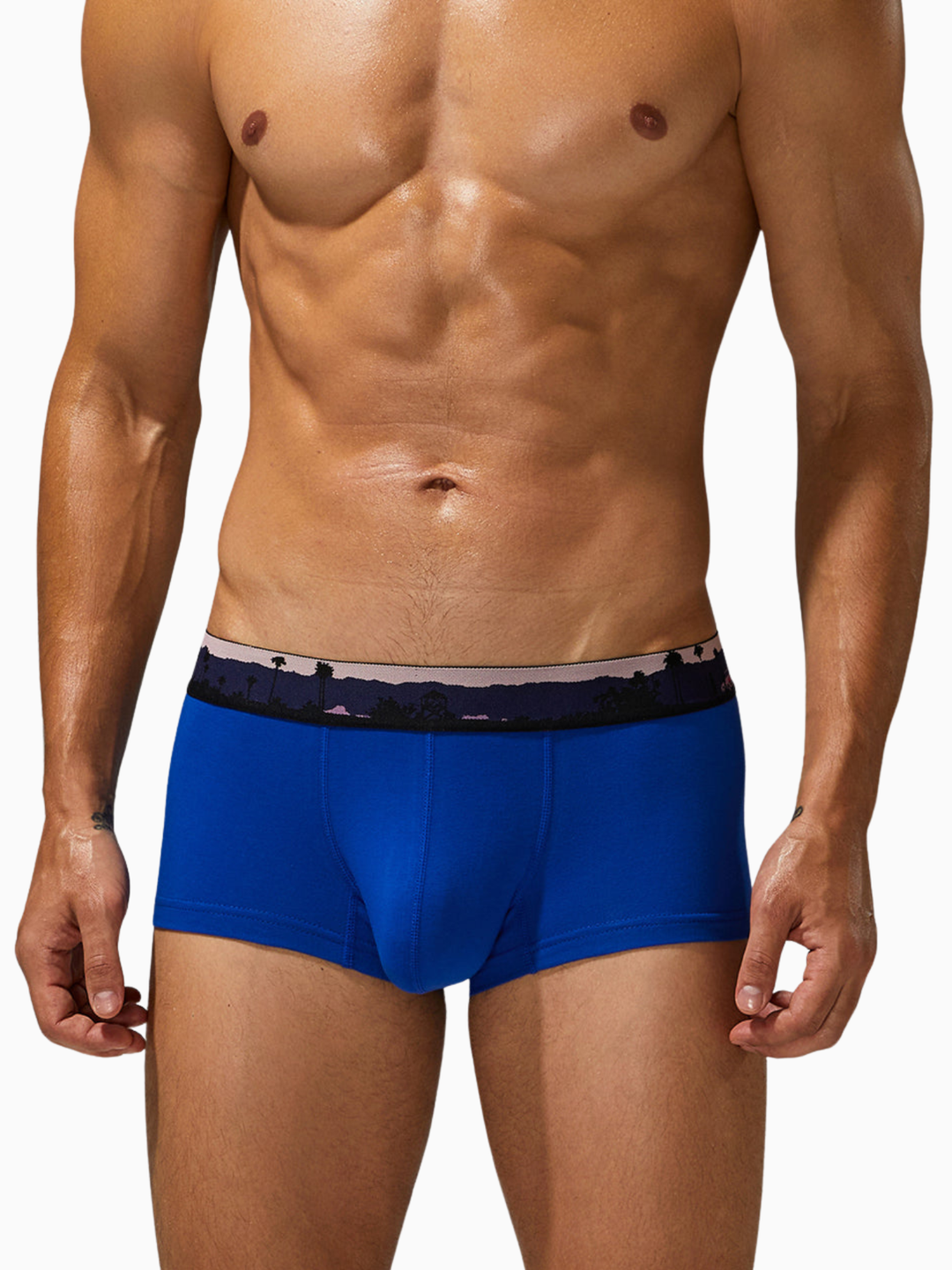 Trunk-Boxershorts aus Baumwolle mit Landscape-Bund
