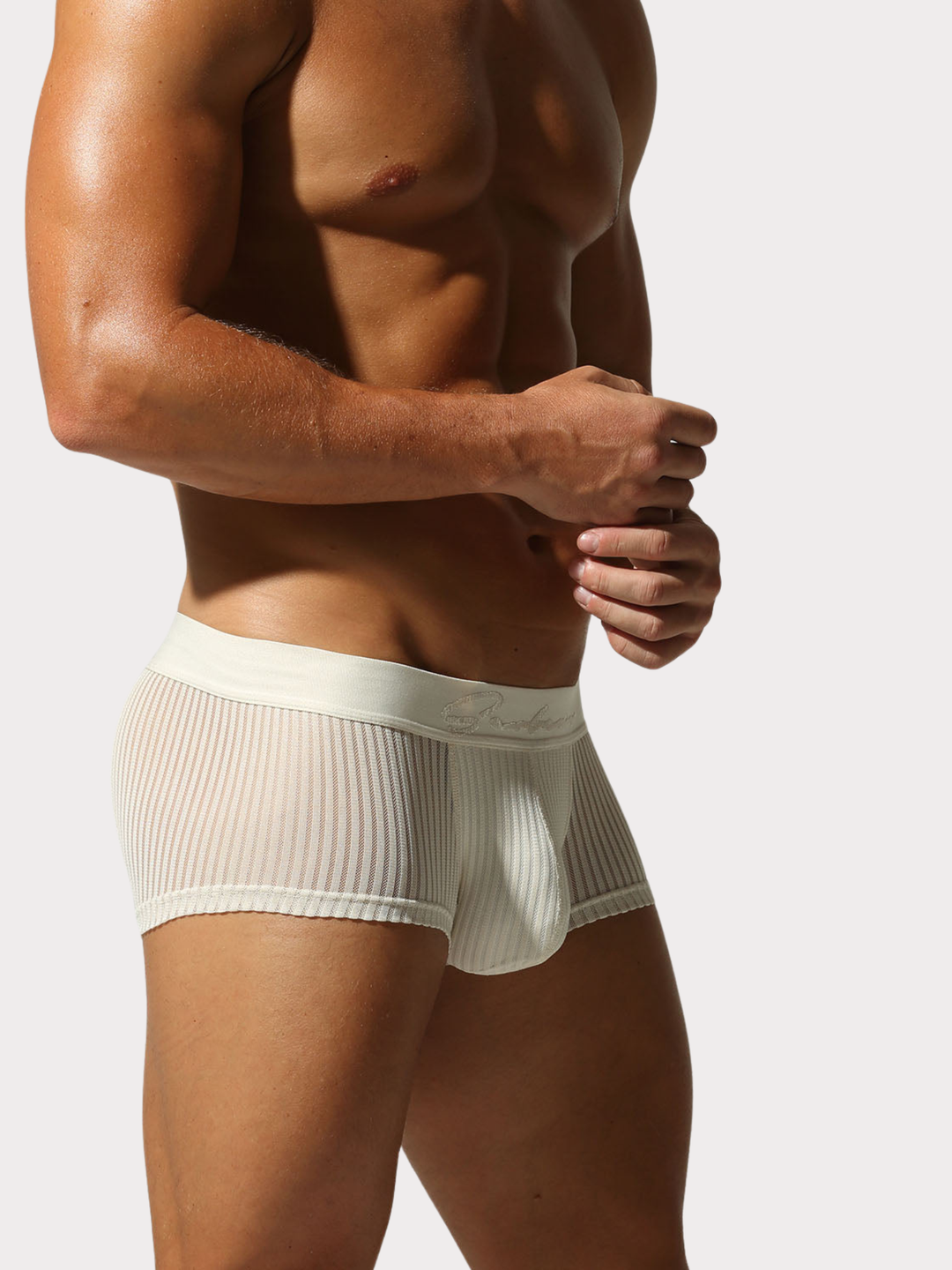 Boxer Brief Netz Mesh