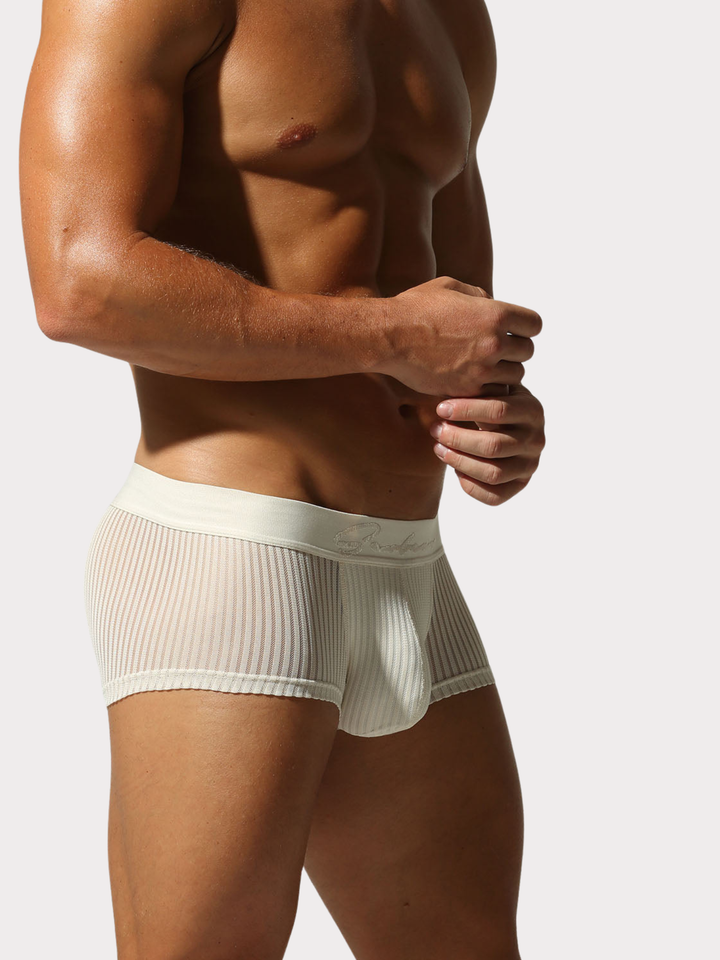 Boxer Brief Netz Mesh