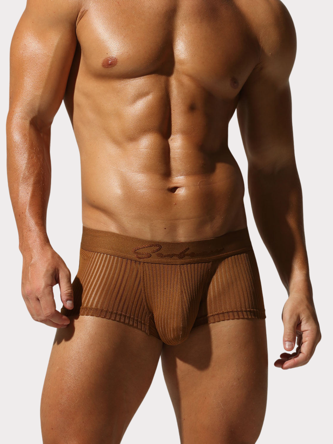 Boxer Brief Netz Mesh