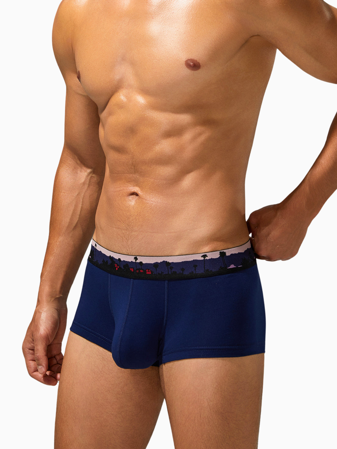 Trunk-Boxershorts aus Baumwolle mit Landscape-Bund