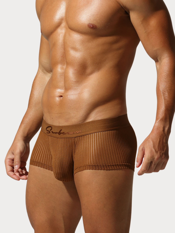 Boxer Brief Netz Mesh