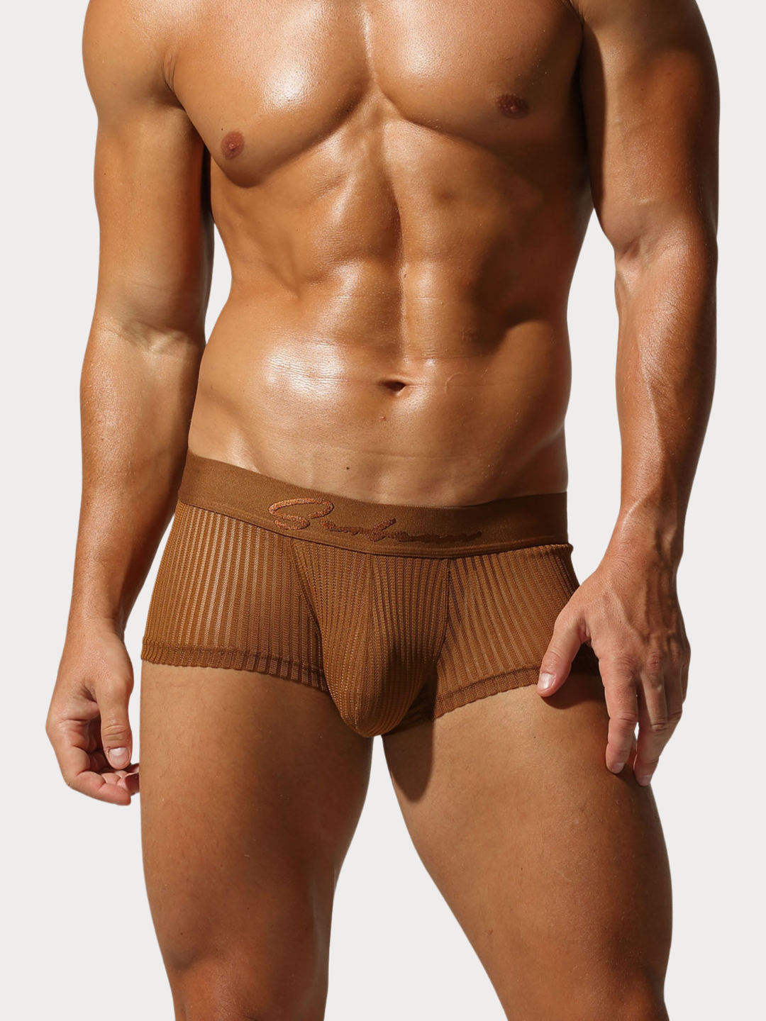 Boxer Brief Netz Mesh