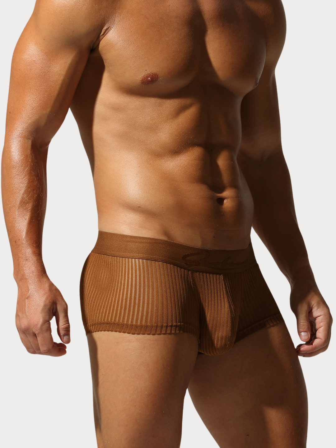Boxer Brief Netz Mesh
