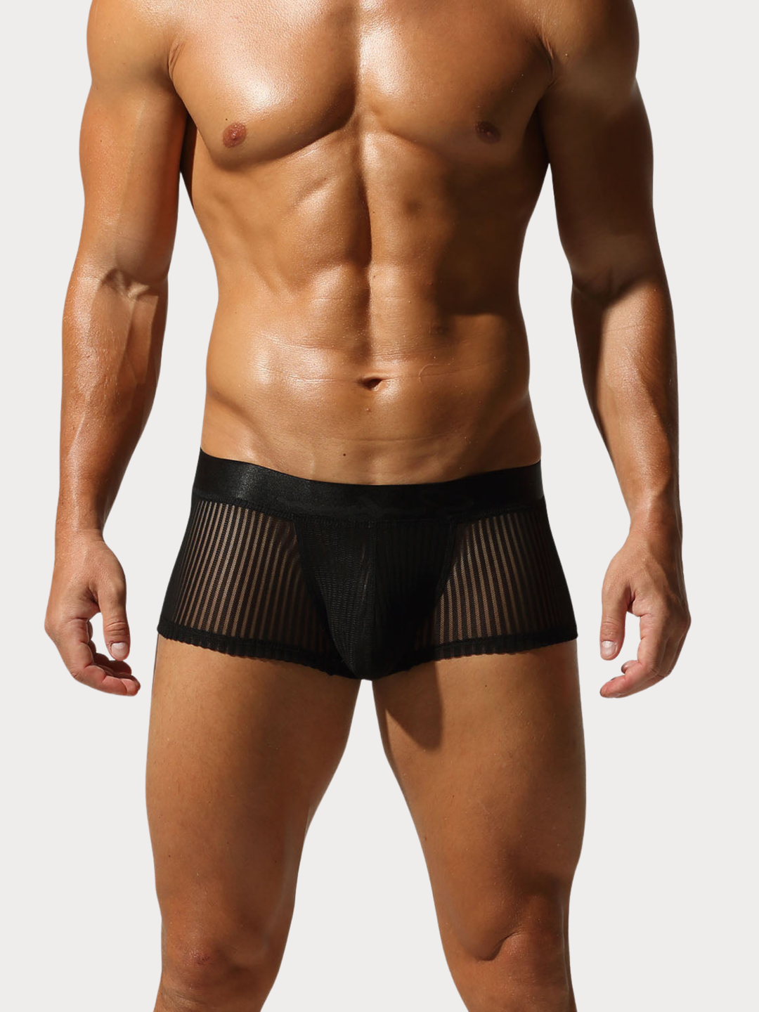 Boxer Brief Netz Mesh