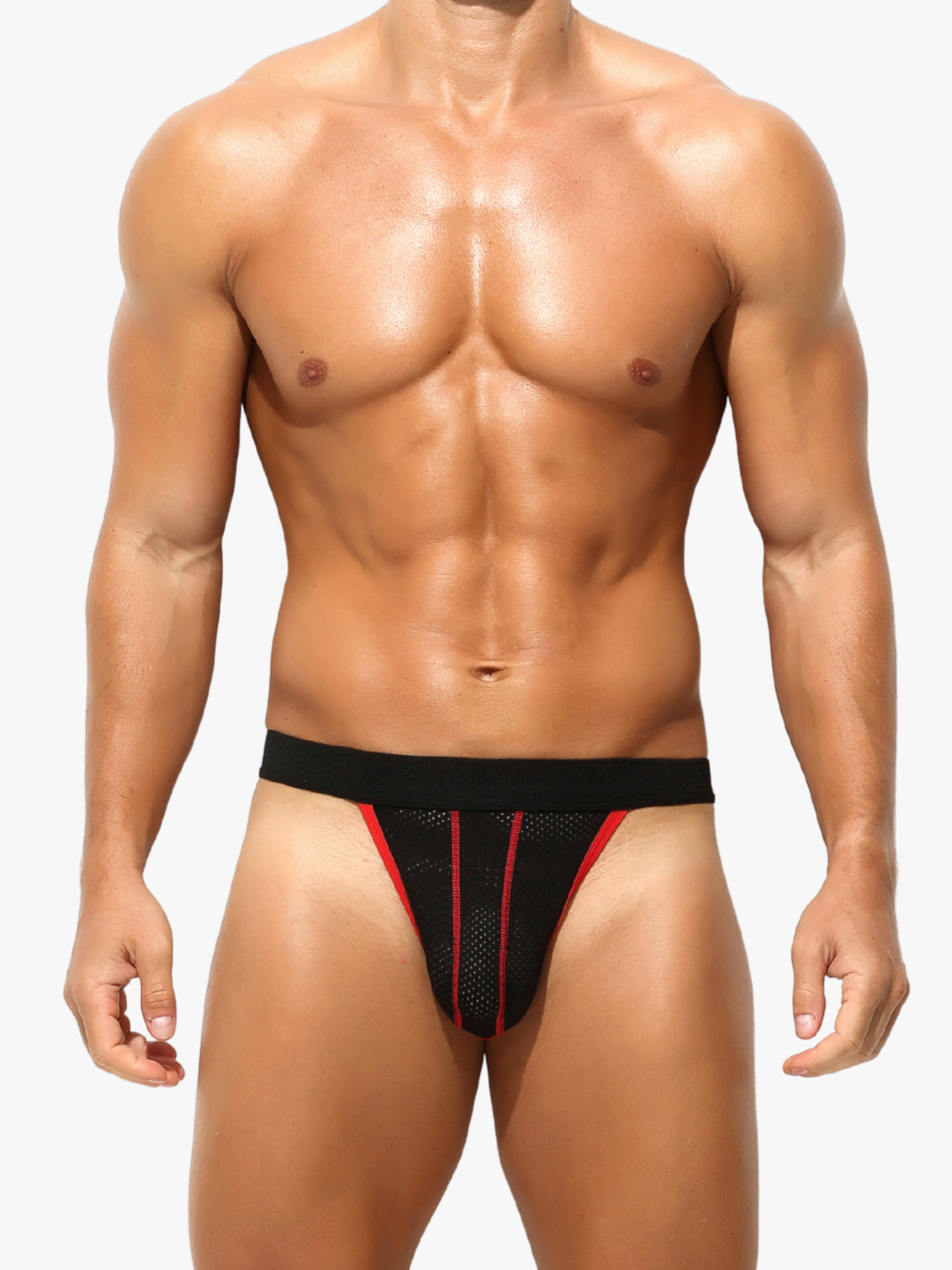 Mesh Brief Slip Tanga