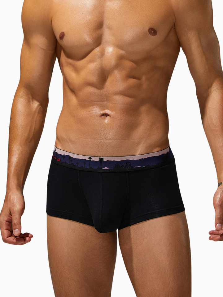 Trunk-Boxershorts aus Baumwolle mit Landscape-Bund