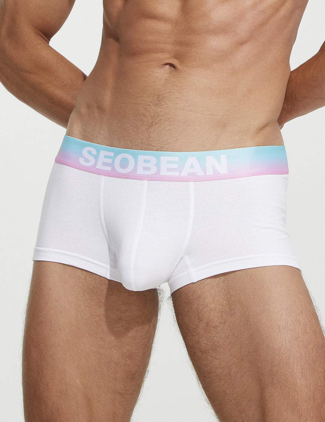 SEOBEAN Classic Solid Low-Rise Boxerbriefs