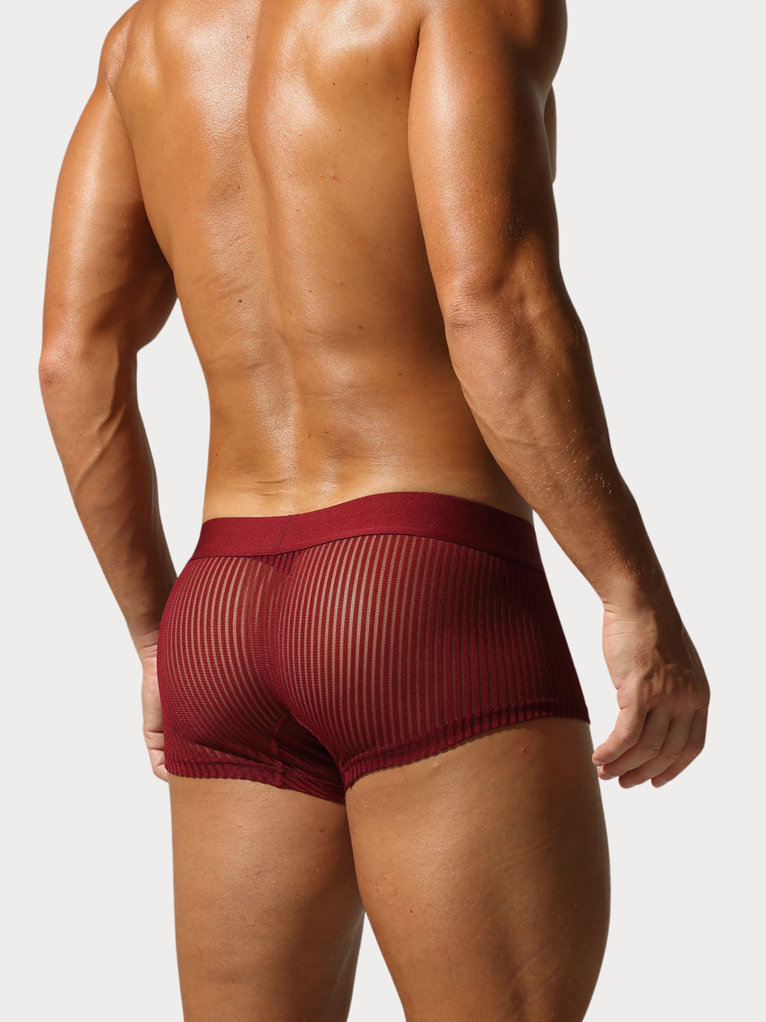 Boxer Brief Netz Mesh