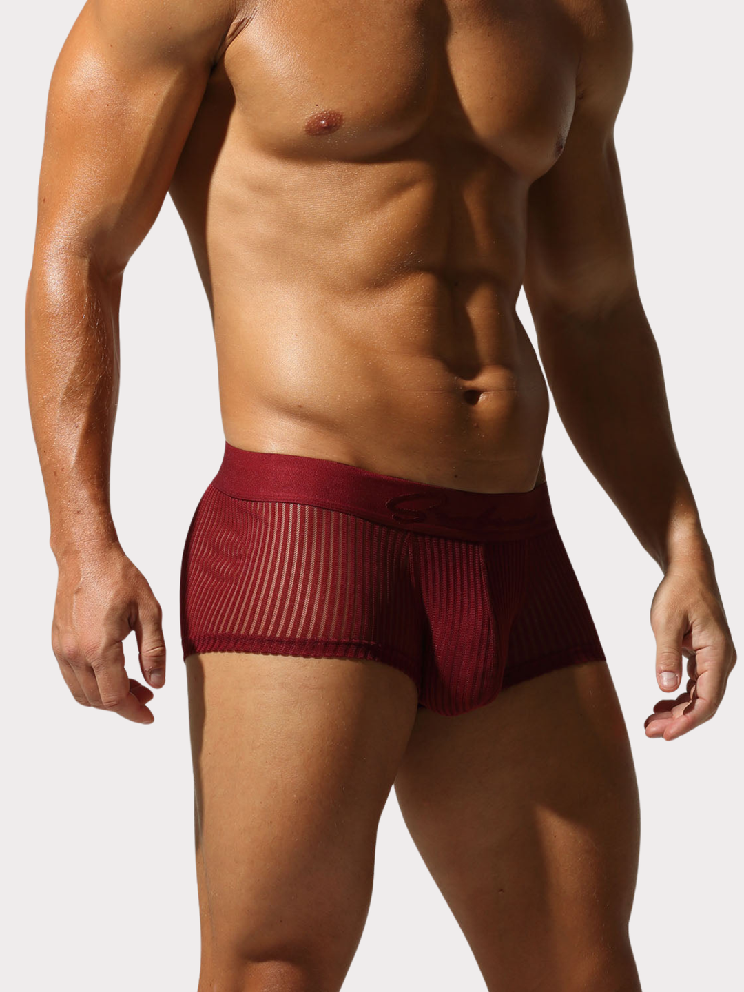 Boxer Brief Netz Mesh