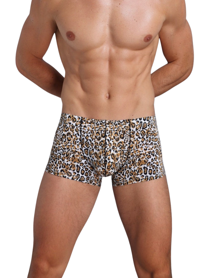 Karenspace Sexy Herren Low-Rise Trunk Nylon