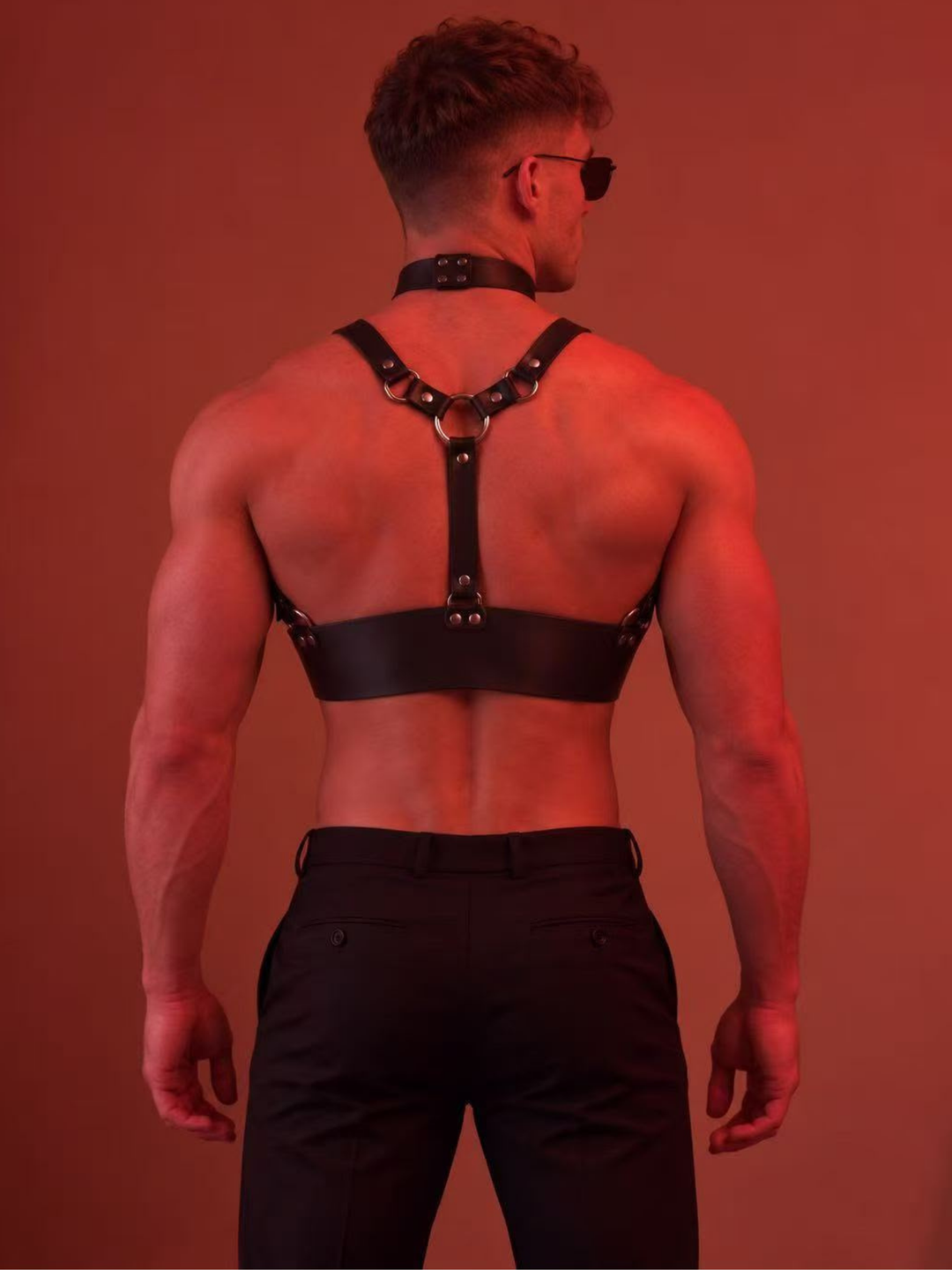 Harness in schwarzer Lederoptik – mit Brustgurten