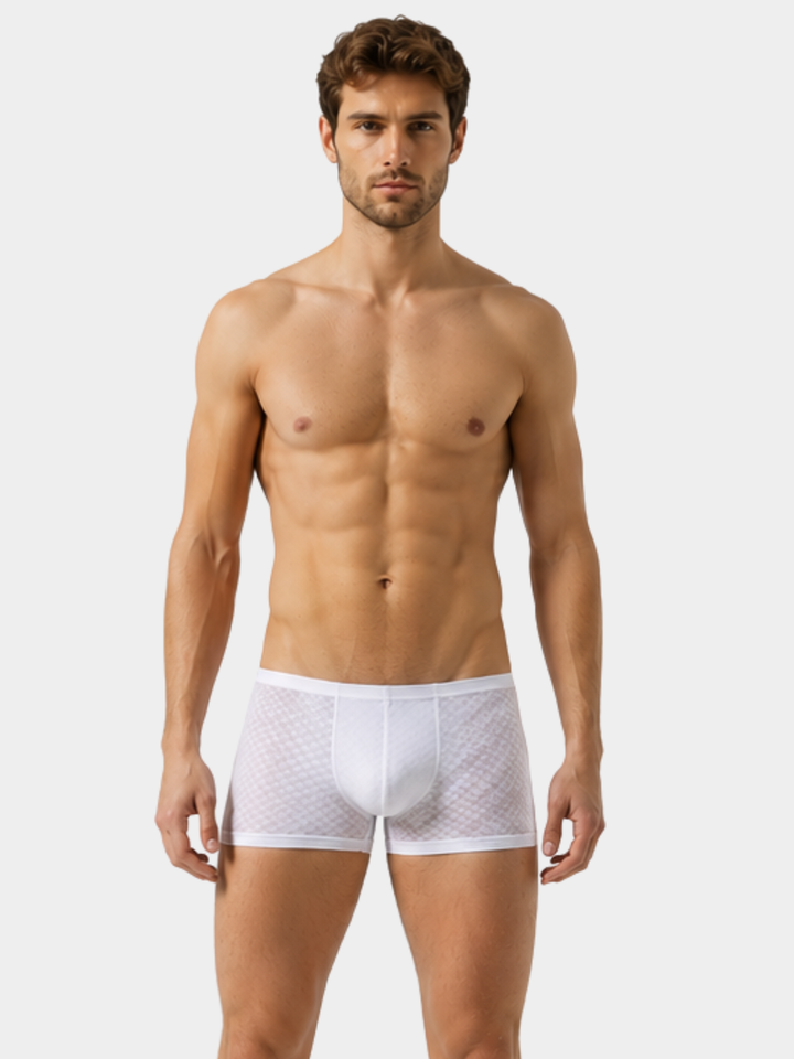 Trunk Boxer Stretchy Nylon