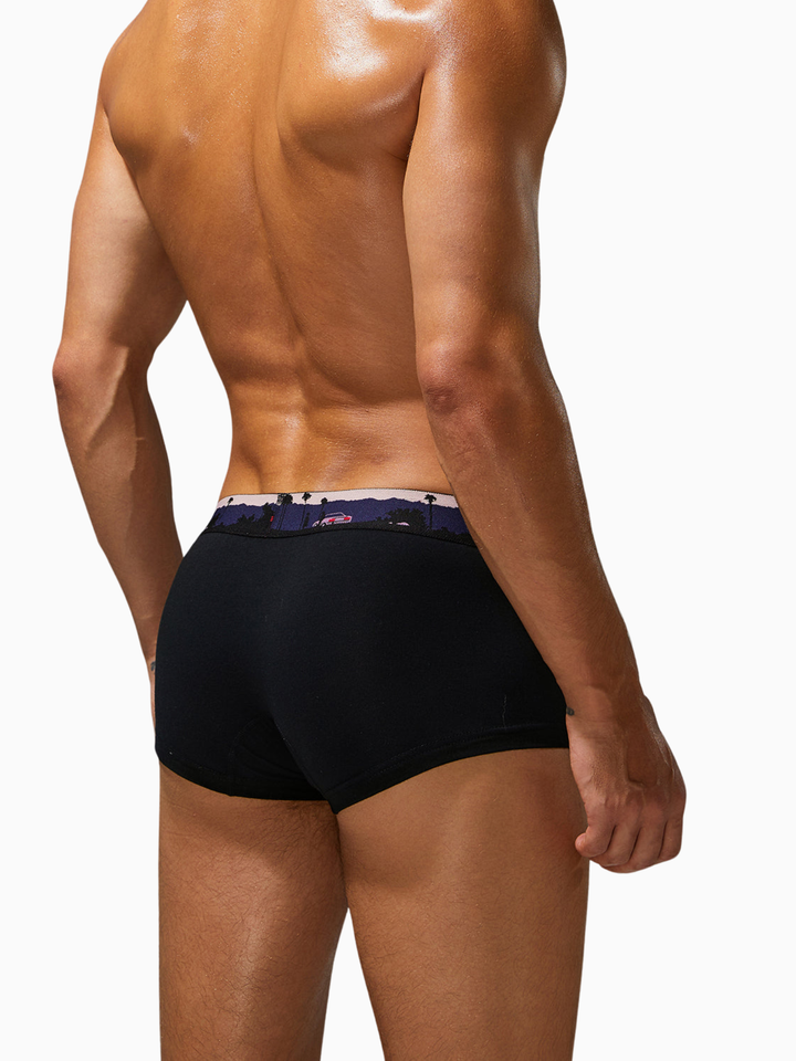 Trunk-Boxershorts aus Baumwolle mit Landscape-Bund