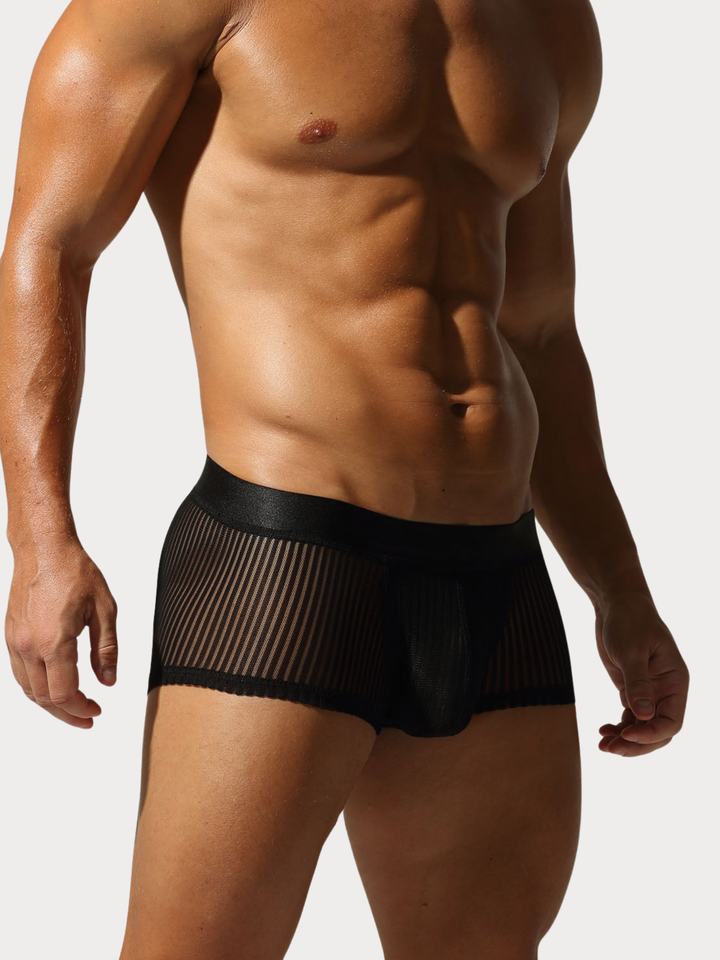 Boxer Brief Netz Mesh