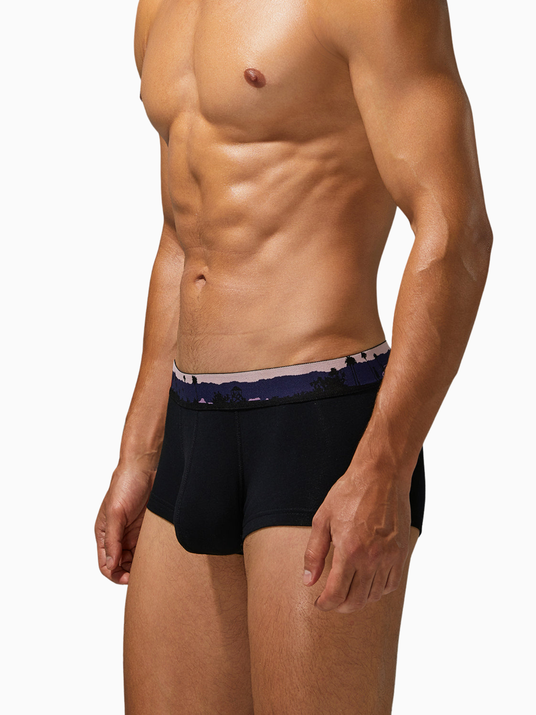 Trunk-Boxershorts aus Baumwolle mit Landscape-Bund