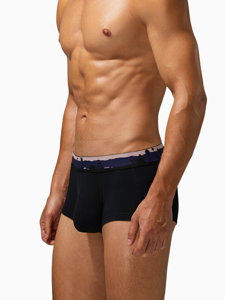 Trunk-Boxershorts aus Baumwolle mit Landscape-Bund