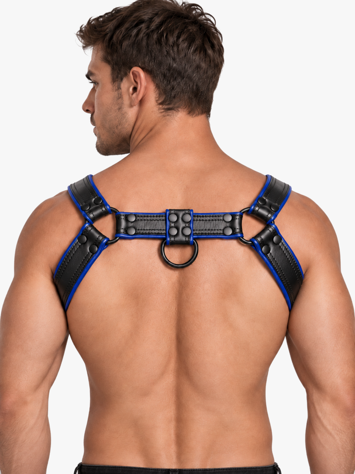 Adjustable Harness mit D-Ring &amp; Schnallen
