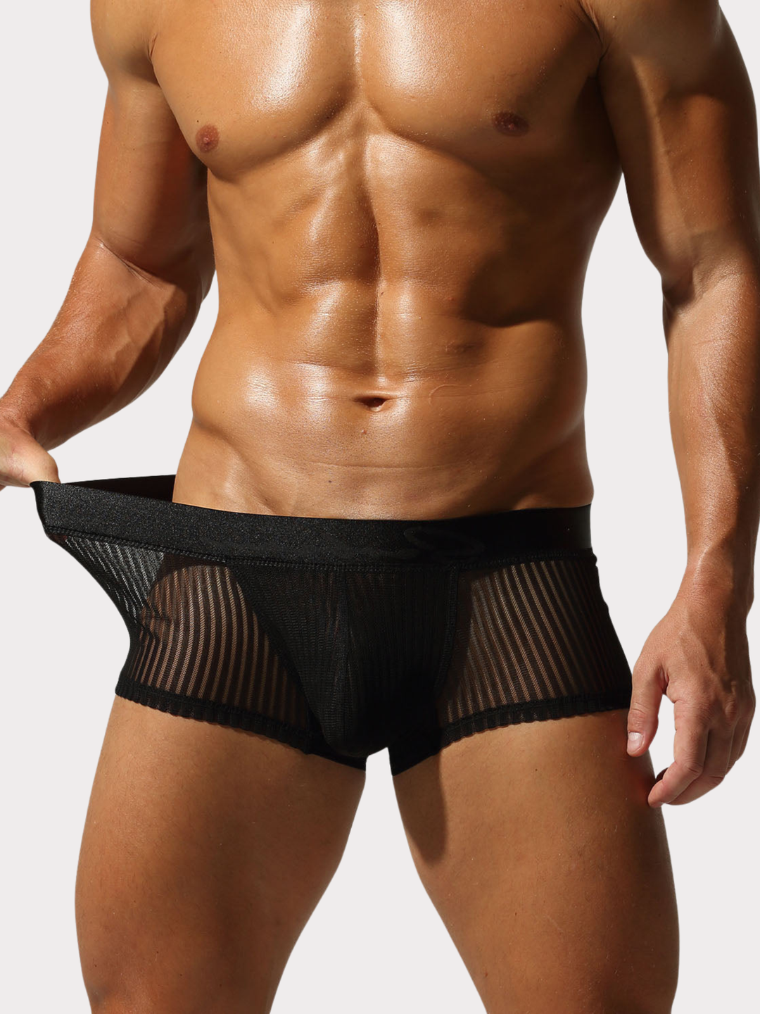 Boxer Brief Netz Mesh