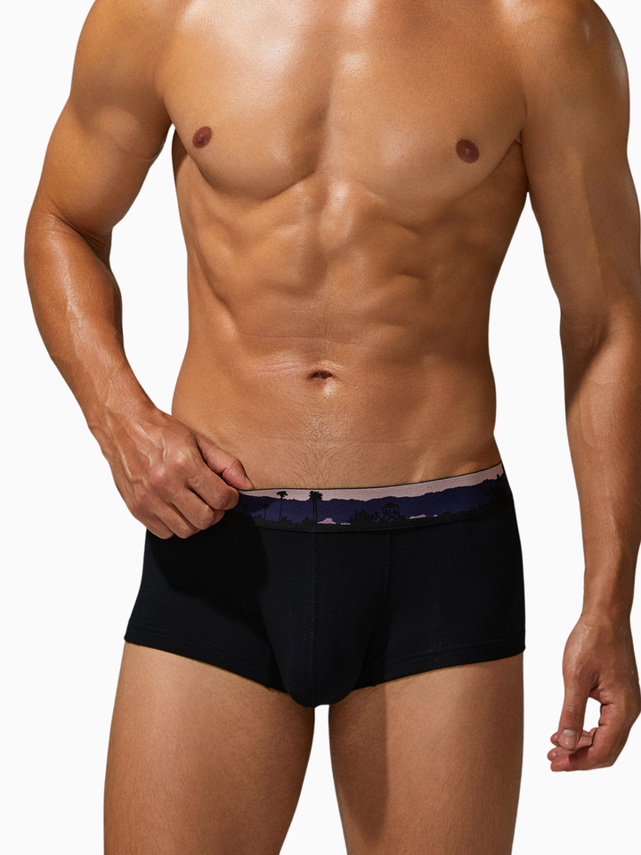 Trunk-Boxershorts aus Baumwolle mit Landscape-Bund