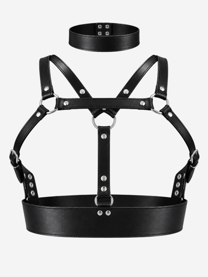 Harness in schwarzer Lederoptik – mit Brustgurten