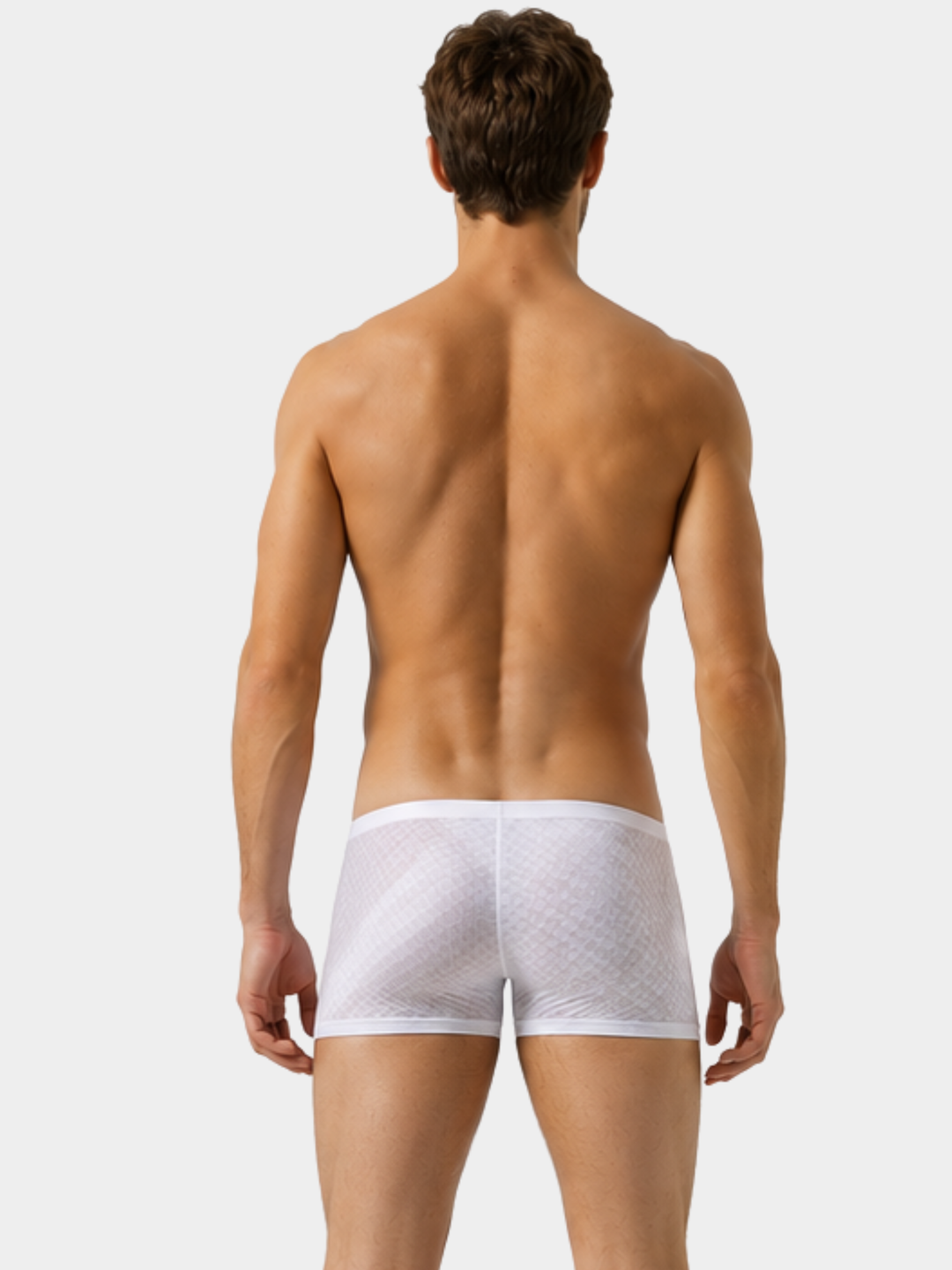 Trunk Boxer Stretchy Nylon