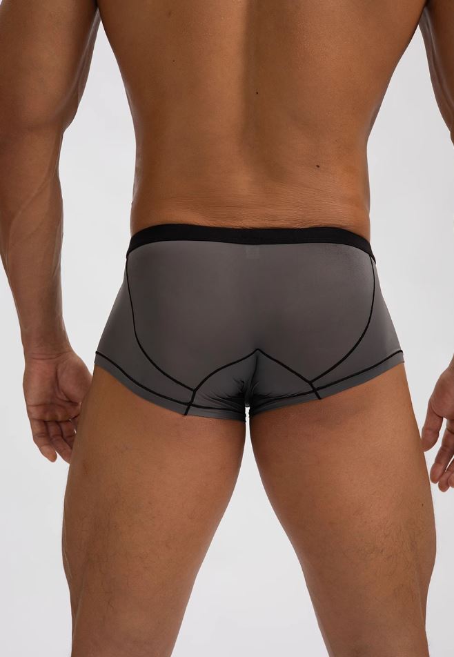 BIMONI Low-Rise Ultra Dünn Trunk Boxer Brief Stretchy Nylon - BIMONI Low-Rise Ultra Dünn Trunk Boxer Brief Stretchy Nylon - Grau / M (Europe Size S) - BIMONI