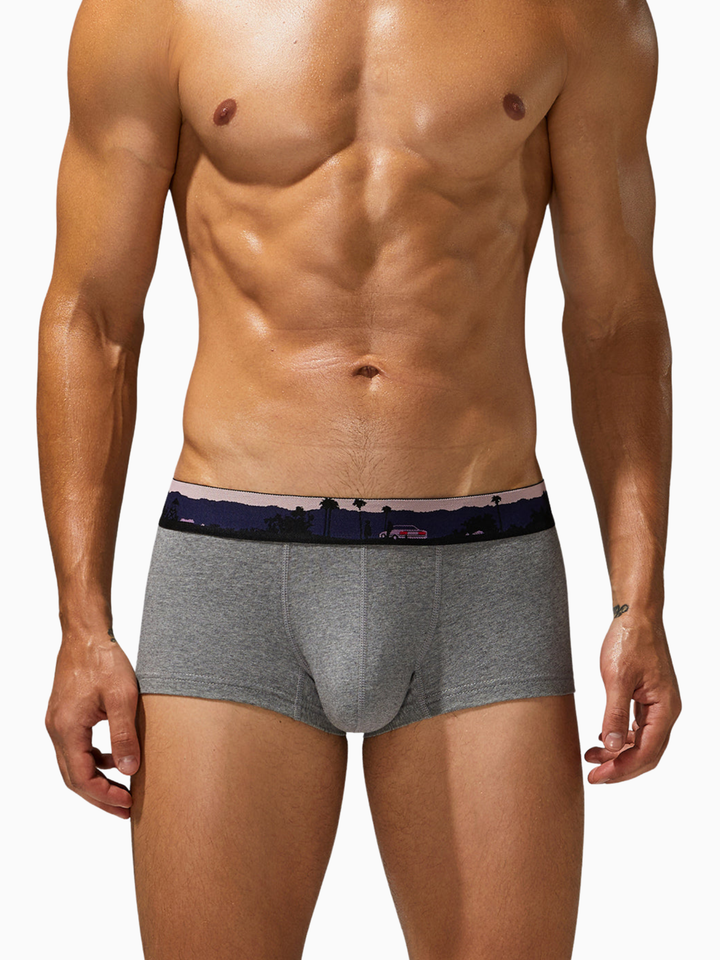 Trunk-Boxershorts aus Baumwolle mit Landscape-Bund