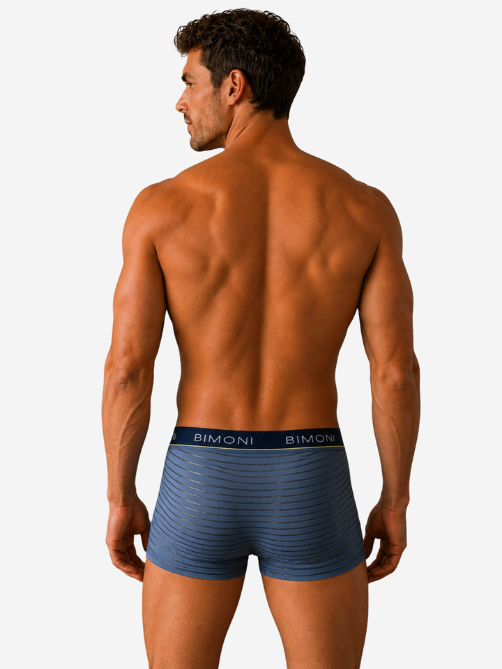 Low Rise Mesh Boxer Trunk Briefs