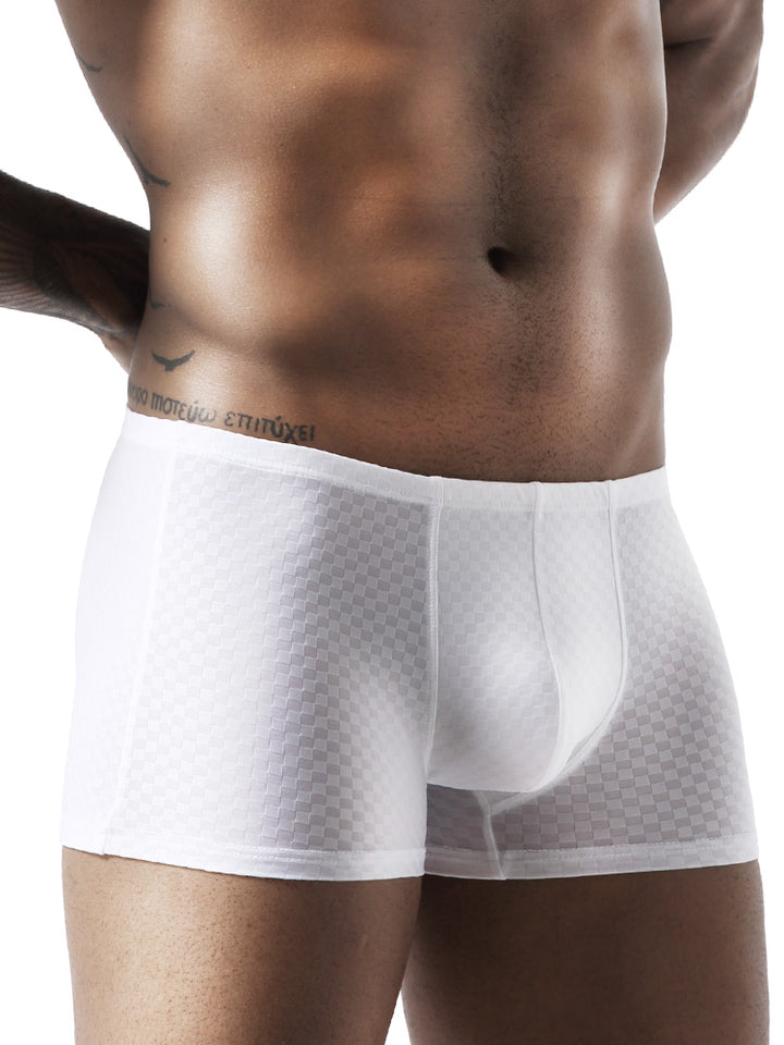 BIMONI Low-Rise Ultra Dünn Trunk Boxer Brief Stretchy Nylon Mesh - BIMONI Low-Rise Ultra Dünn Trunk Boxer Brief Stretchy Nylon Mesh - Blau / L (Europe Size M) - BIMONI