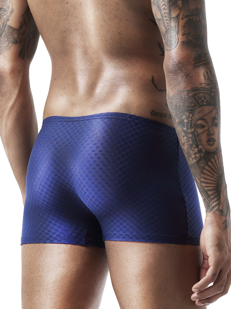 BIMONI Low-Rise Ultra Dünn Trunk Boxer Brief Stretchy Nylon Mesh - BIMONI Low-Rise Ultra Dünn Trunk Boxer Brief Stretchy Nylon Mesh - Blau / L (Europe Size M) - BIMONI