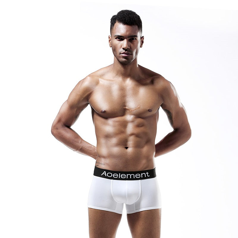 AO Low-Rise Trunk Boxer