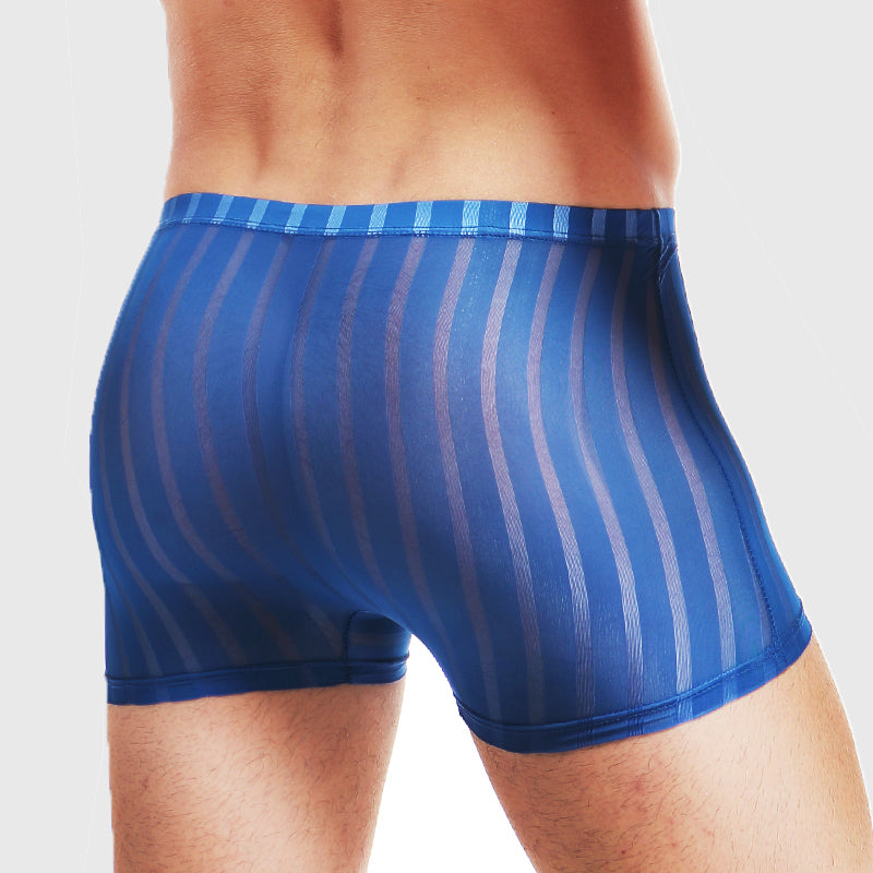 BIMONI Low-Rise Trunk Boxer Mesh Atmungsaktiv - BIMONI Low-Rise Trunk Boxer Mesh Atmungsaktiv - Blau / L (Europe Size M) - BIMONI