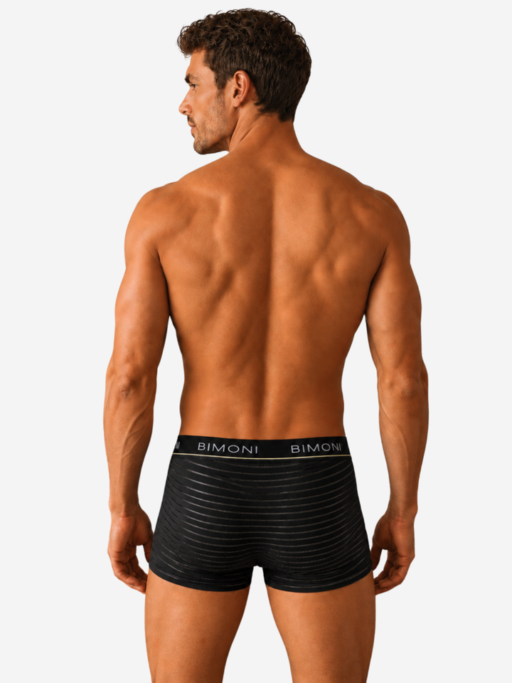 Low Rise Mesh Boxer Trunk Briefs