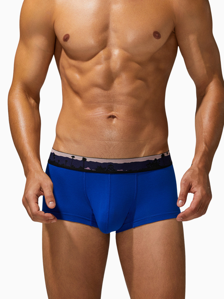 Trunk-Boxershorts aus Baumwolle mit Landscape-Bund