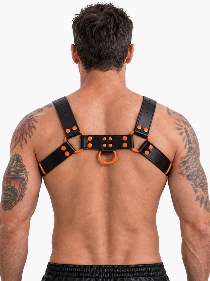 Brust-Harness Schwarz Orange/Blau