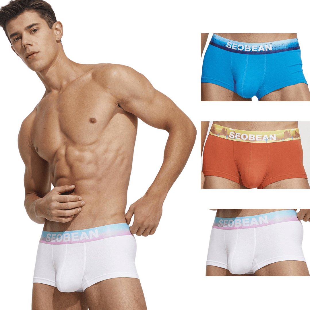 SEOBEAN Classic Solid Low-Rise Boxerbriefs