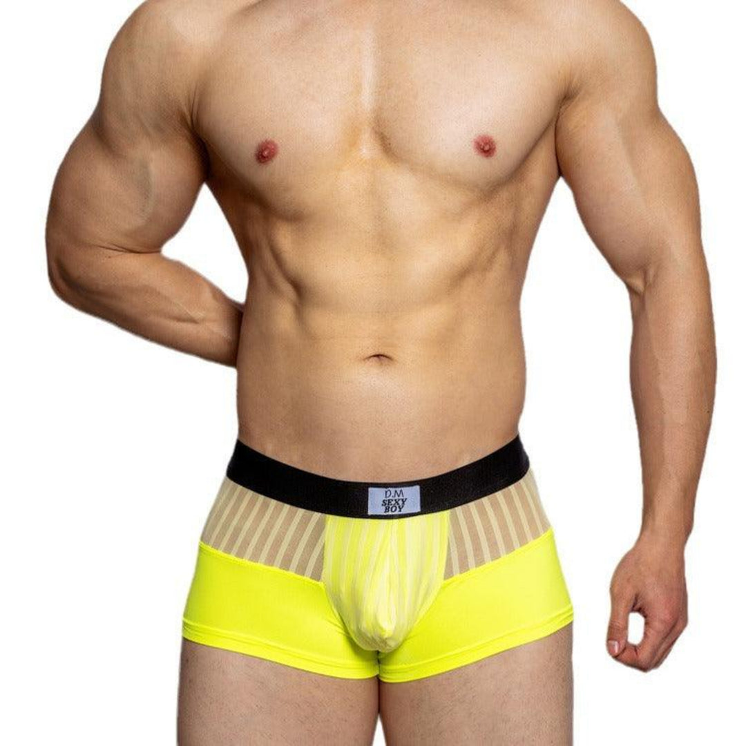 Trunk Mesh Sexy Dessous Netz BIMONI Trunk Mesh Sexy Dessous Netz BIMONI