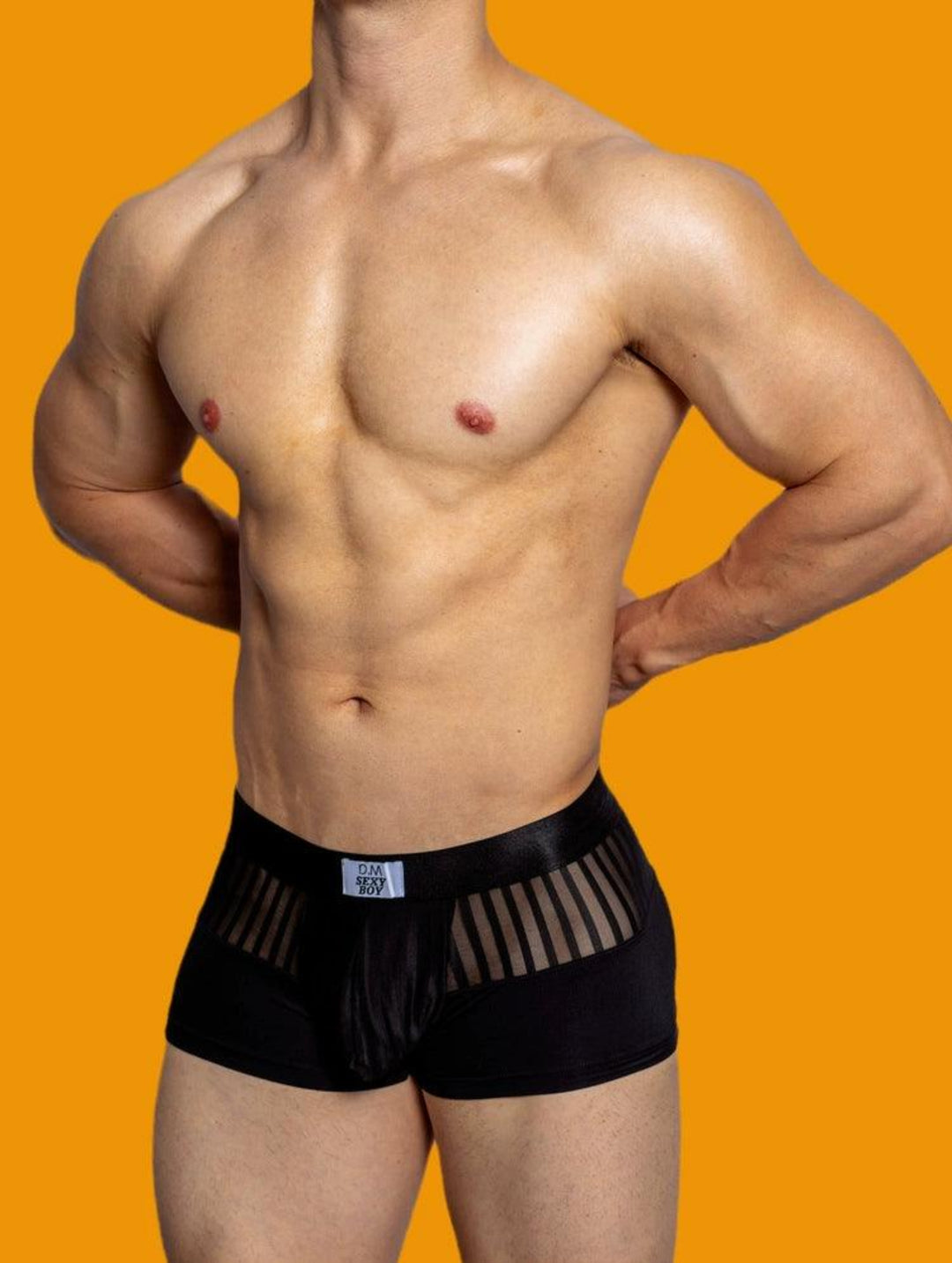 Trunk Mesh Sexy Dessous Netz BIMONI Trunk Mesh Sexy Dessous Netz BIMONI