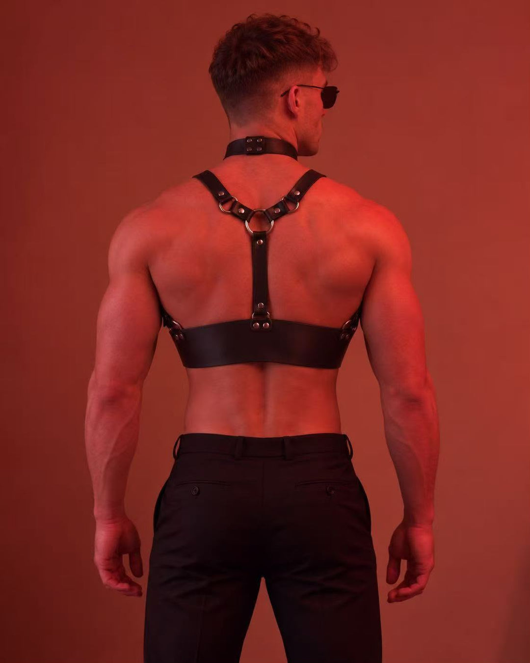 Harness in schwarzer Lederoptik – mit Brustgurten