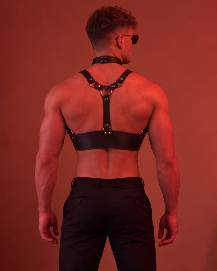 Harness in schwarzer Lederoptik – mit Brustgurten