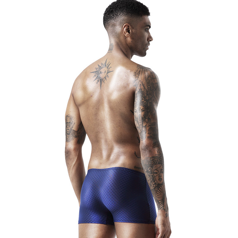 BIMONI Low-Rise Ultra Dünn Trunk Boxer Brief Stretchy Nylon Mesh