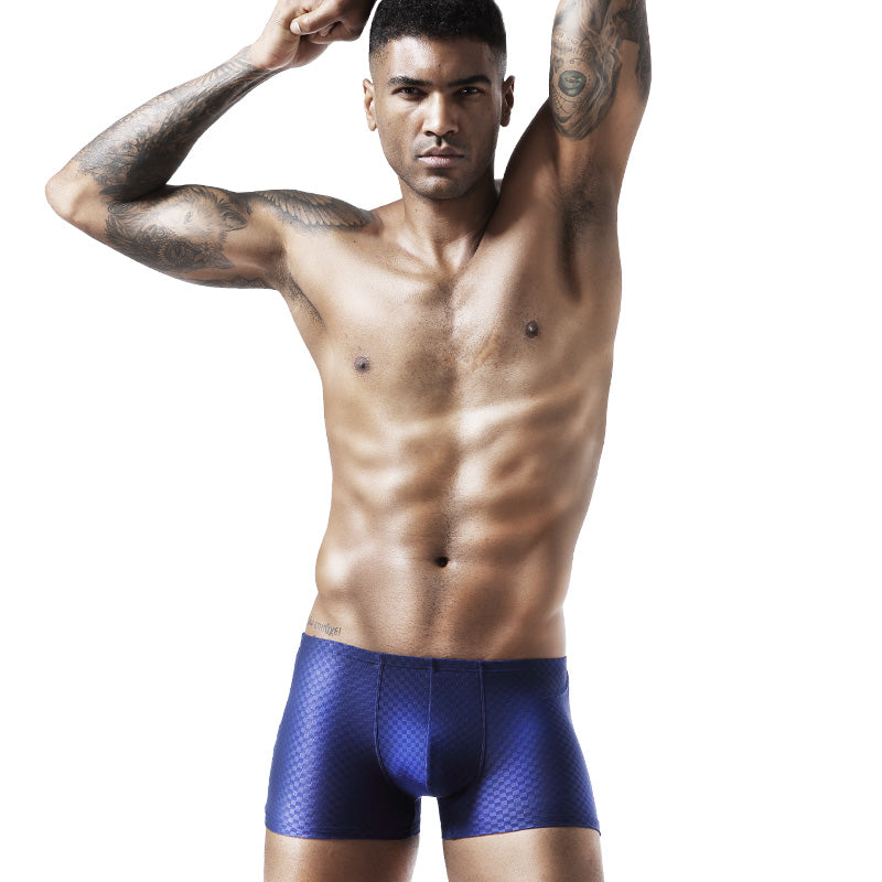 BIMONI Low-Rise Ultra Dünn Trunk Boxer Brief Stretchy Nylon Mesh