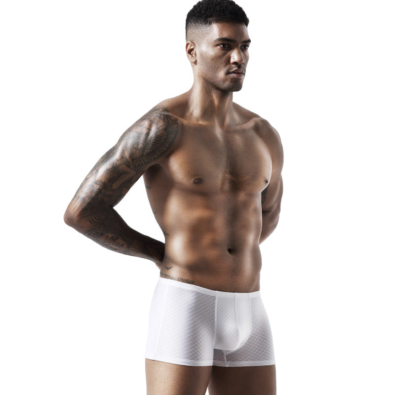 BIMONI Low-Rise Ultra Dünn Trunk Boxer Brief Stretchy Nylon Mesh