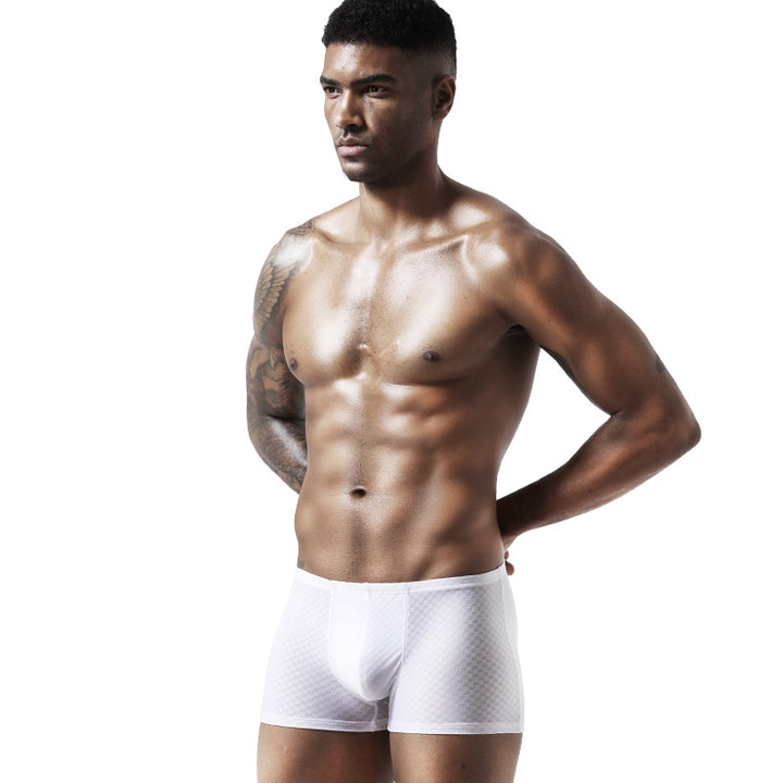 BIMONI Low-Rise Ultra Dünn Trunk Boxer Brief Stretchy Nylon Mesh - BIMONI Low-Rise Ultra Dünn Trunk Boxer Brief Stretchy Nylon Mesh - Weiß / L (Europe Size M) - BIMONI